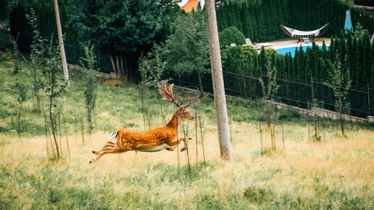 Chalet Balkan Valevtsi Экстерьер фото